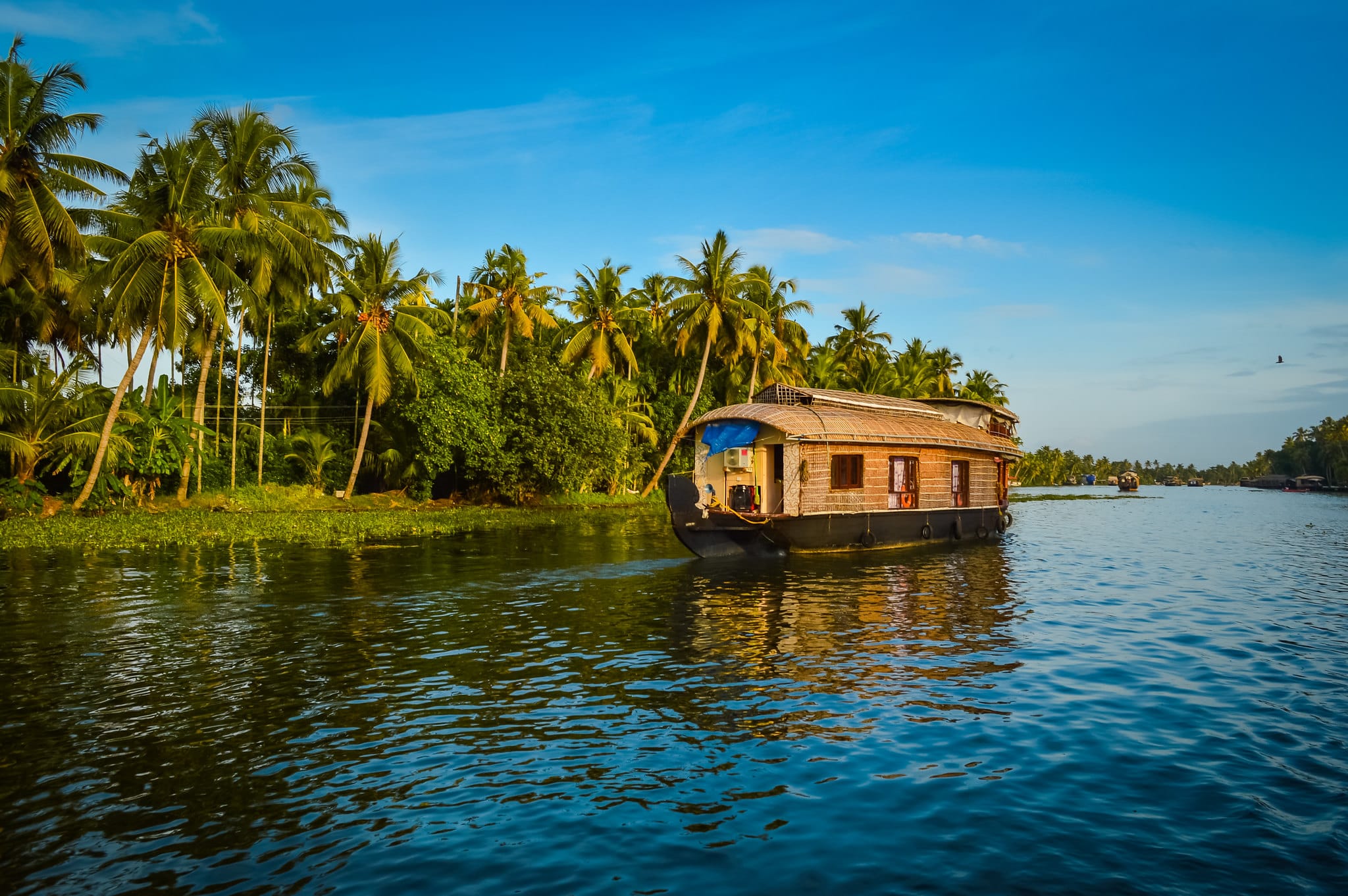 Houseboat Cruise on the Backwaters